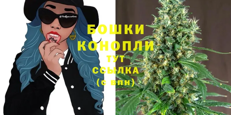 Марихуана OG Kush  Бабушкин 